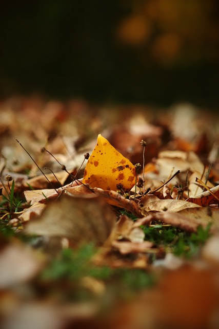 上海的特殊 上海的特殊
